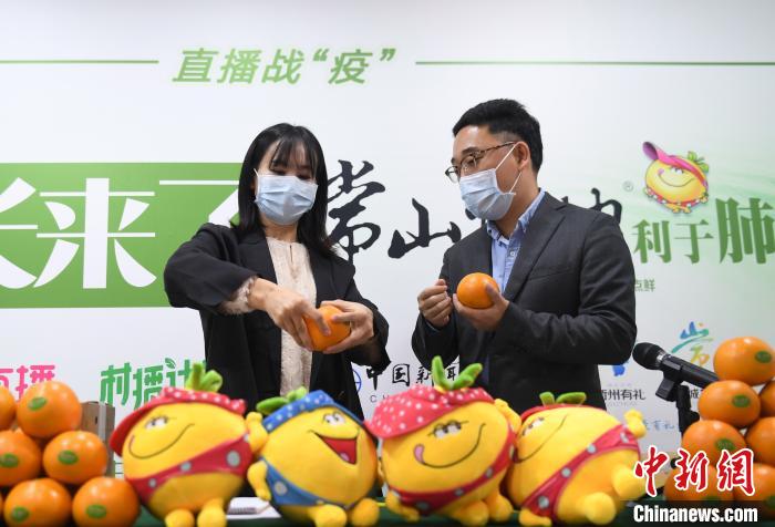 图为：浙江中医药大学副主任中医师、中药学博士蒋剑平(右一)在直播间介绍胡柚的营养价值等。　王刚 摄