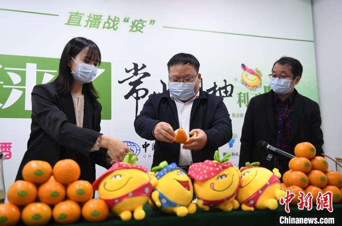 图为：常山县委常委、县政府党组成员戴根林(中)在直播间展示常山胡柚食用方式。　王刚 摄